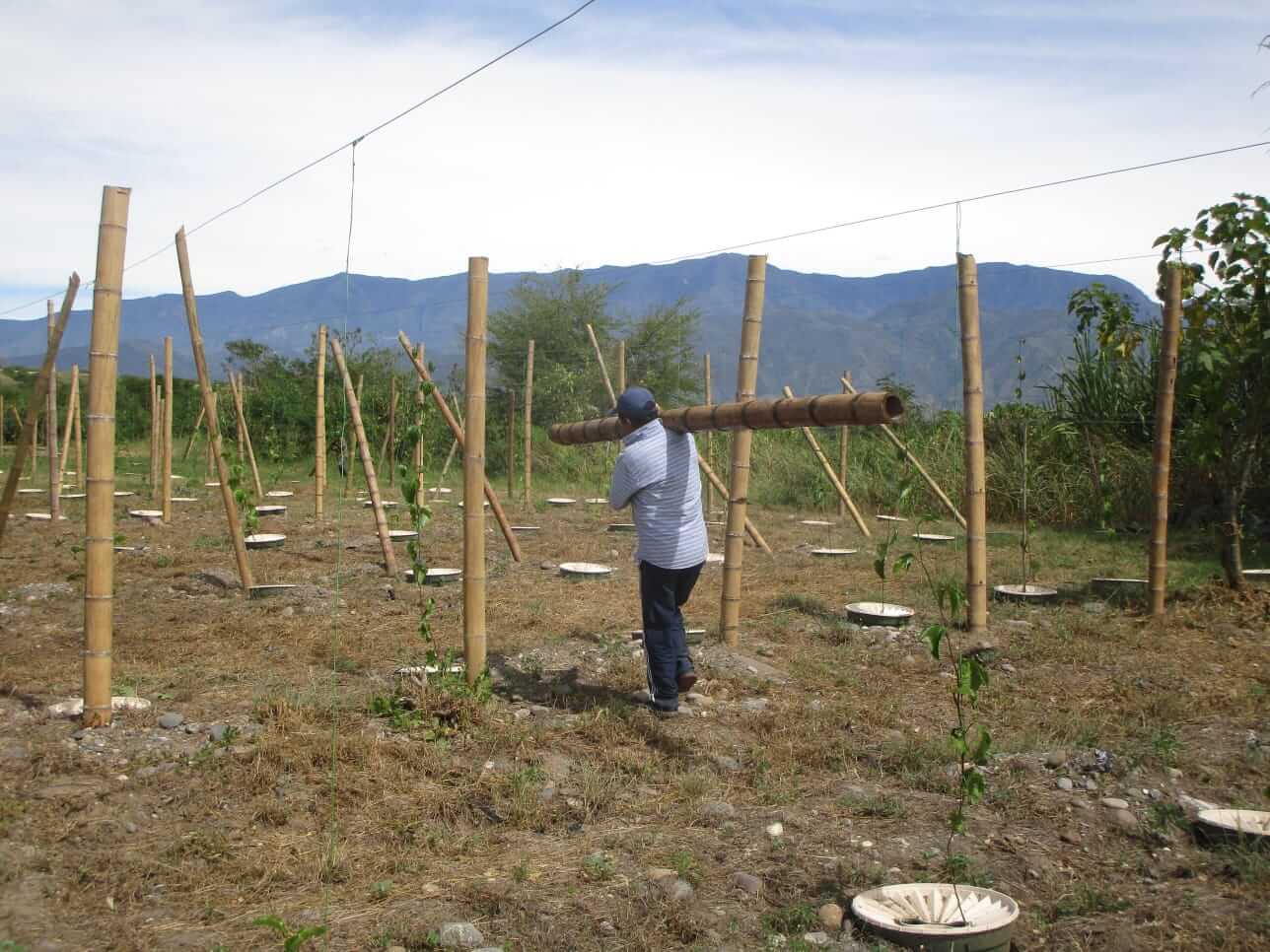 ASOPATIANOS Community