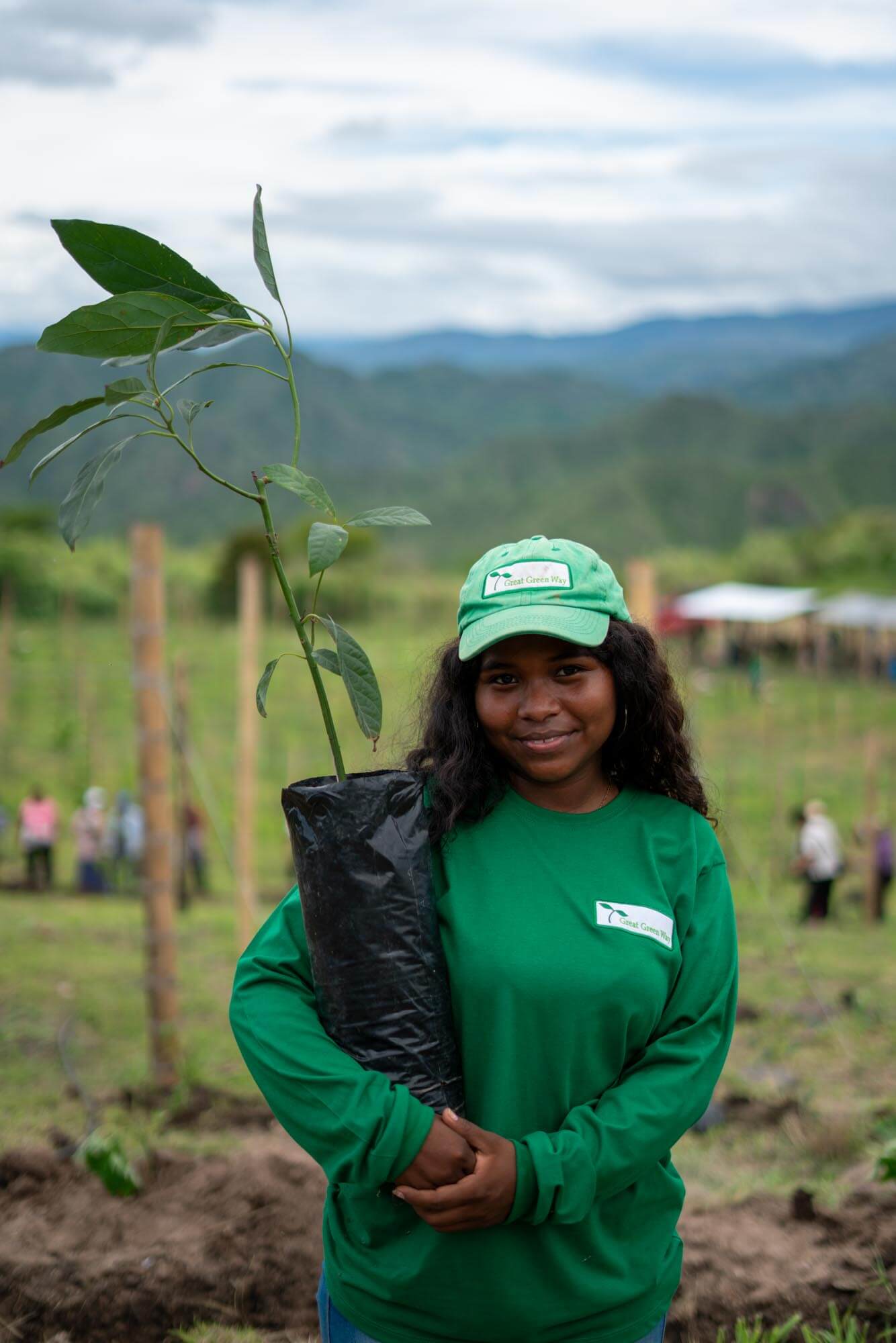 Regenerative actions on the ground